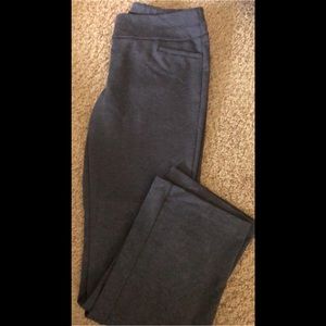 New York & Company Grey Pull On Pants